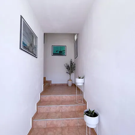 Neptun Guest house 3*
